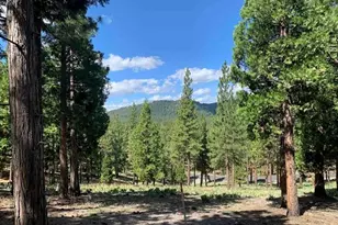 296 Big Cedar Ln, Portola, CA 96122 - Photo 1