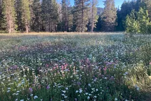 960 Ward Creek Blvd, Tahoe City, CA 96145 - Photo 25