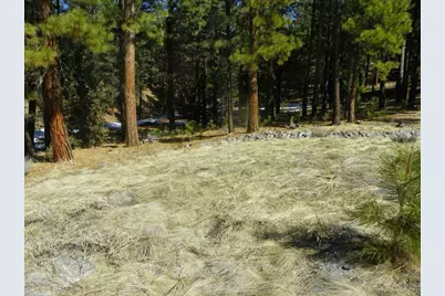 462 Grizzly Ranch Road, Portola, CA 96122 - Photo 7