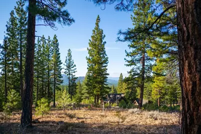 462 Grizzly Ranch Road, Portola, CA 96122 - Photo 5