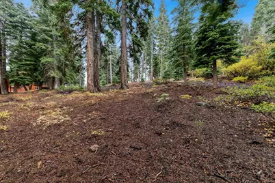 11926 Rhineland Avenue, Truckee, CA 96161 - Photo 19