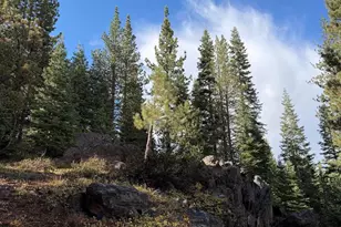 16465 Northwoods Blvd, Truckee, CA 96161 - Photo 21