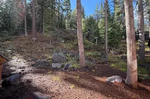 16465 Northwoods Blvd, Truckee, CA 96161 - Photo 19