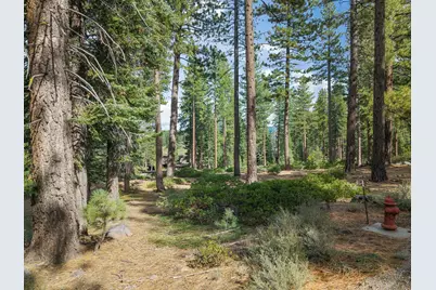 11317 Elle Ellen, Truckee, CA 96161 - Photo 1