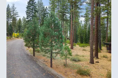 11317 Elle Ellen, Truckee, CA 96161 - Photo 5