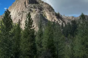 5720 Money Rd, Beckwourth, CA 96129 - Photo 7