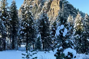 5720 Money Rd, Beckwourth, CA 96129 - Photo 9