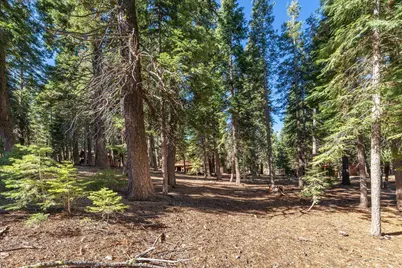 11888 Chamonix Road, Truckee, CA 96161 - Photo 11