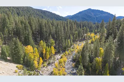 5382 Main Street, Graeagle, CA 96103 - Photo 25