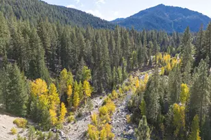 5382 Main St, Graeagle, CA 96103 - Photo 25