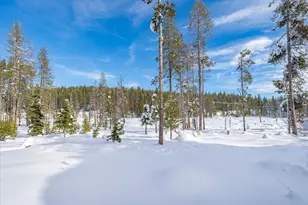 11529 Zermatt Dr, Truckee, CA 96161 - Photo 9