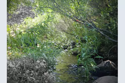 598 Longhorn Drive, Loyalton, CA 96118 - Photo 15