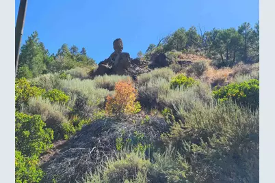 598 Longhorn Drive, Loyalton, CA 96118 - Photo 19