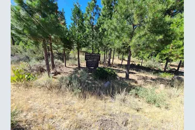 598 Longhorn Drive, Loyalton, CA 96118 - Photo 11