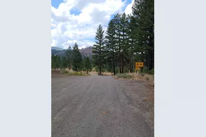 598 Longhorn Drive, Loyalton, CA 96118 - Photo 9