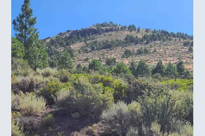 598 Longhorn Drive, Loyalton, CA 96118 - Photo 7