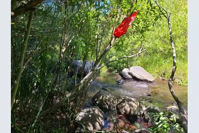 598 Longhorn Drive, Loyalton, CA 96118 - Photo 13