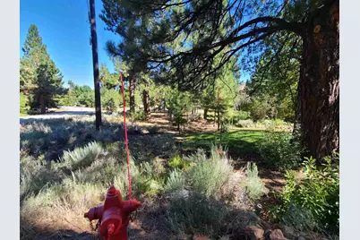 598 Longhorn Drive, Loyalton, CA 96118 - Photo 3