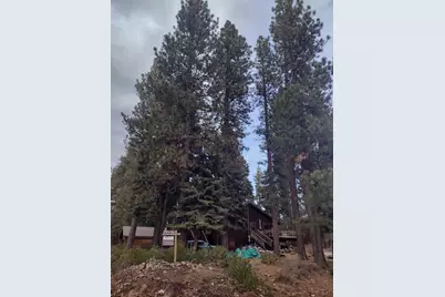 10262 Blue Jay Lane, Truckee, CA 96161 - Photo 5