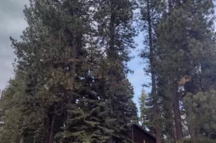 10262 Blue Jay Ln, Truckee, CA 96161 - Photo 5