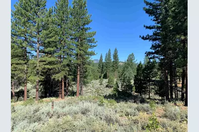 24 Starflower Drive, Portola, CA 96122 - Photo 1