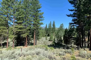 24 Starflower Dr, Portola, CA 96122 - Photo 1