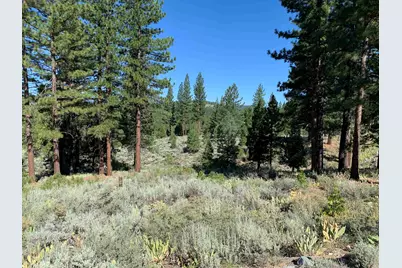 24 Starflower Drive, Portola, CA 96122 - Photo 3