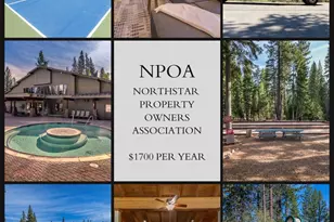 1101 Martis Landing, Truckee, CA 96161 - Photo 25