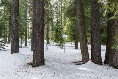 11909 Bavarian Way, Truckee, CA 96161 - Photo 27