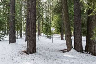 11909 Bavarian Way, Truckee, CA 96161 - Photo 27