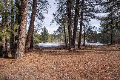 5684 Iron Horse Drive, Portola, CA 96122 - Photo 23