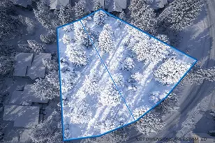 10336 Palisades Dr, Truckee, CA 96161 - Photo 1