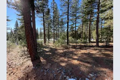 57 Red Hawk Drive, Portola, CA 96122 - Photo 3