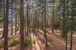 6980 Toyon Rd, Tahoe Vista, CA 96148 - Photo 27