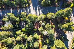 5520 Sacramento Ave, Homewood, CA 96141 - Photo 25