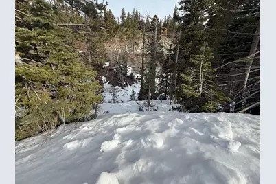 1416 Mineral Spring Trail, Alpine Meadows, CA 96146 - Photo 11