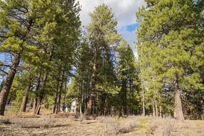 15627 Sudsbury Circle, Truckee, CA 96161 - Photo 9