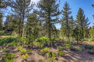 7445 Lahontan Dr, Truckee, CA 96161 - Photo 1