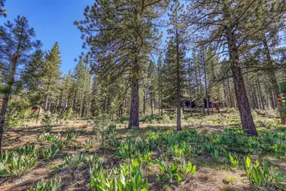 7455 Lahontan Drive, Truckee, CA 96161 - Photo 3