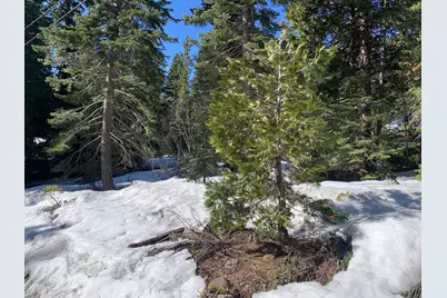 890 Bunker Road, Tahoe City, CA 96145 - Photo 3