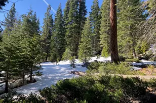 890 Bunker Rd, Tahoe City, CA 96145 - Photo 1