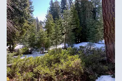 890 Bunker Road, Tahoe City, CA 96145 - Photo 9