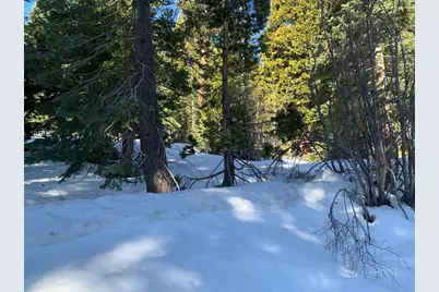 890 Bunker Road, Tahoe City, CA 96145 - Photo 5