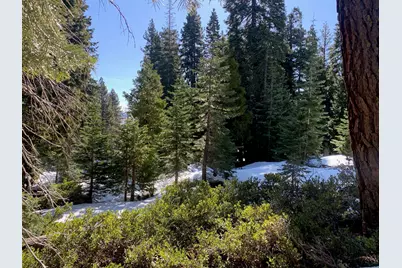 890 Bunker Road, Tahoe City, CA 96145 - Photo 11