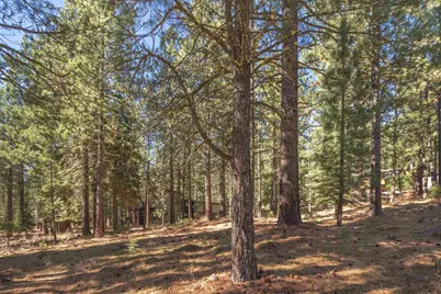 11925 Saddleback Drive, Truckee, CA 96161 - Photo 15