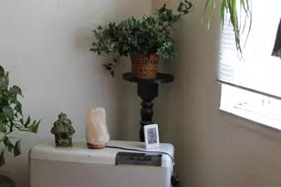 50 Patterson Ave, Loyalton, CA 96118 - Photo 9