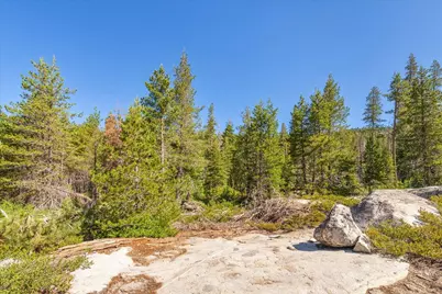 0000 Hampshire Rocks Road, Emigrant Gap, CA 95715 - Photo 13