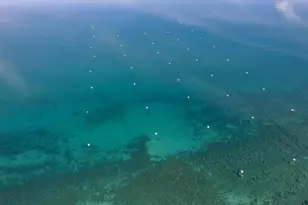 7132 8th Ave, Tahoma, CA 96142 - Photo 27