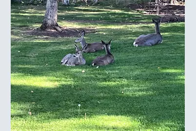 15318 Glenshire Drive, Truckee, CA 96161 - Photo 3