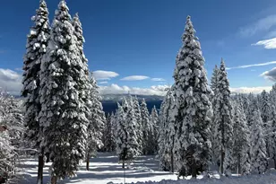 1357 Kings Way, Tahoe Vista, CA 96148 - Photo 27